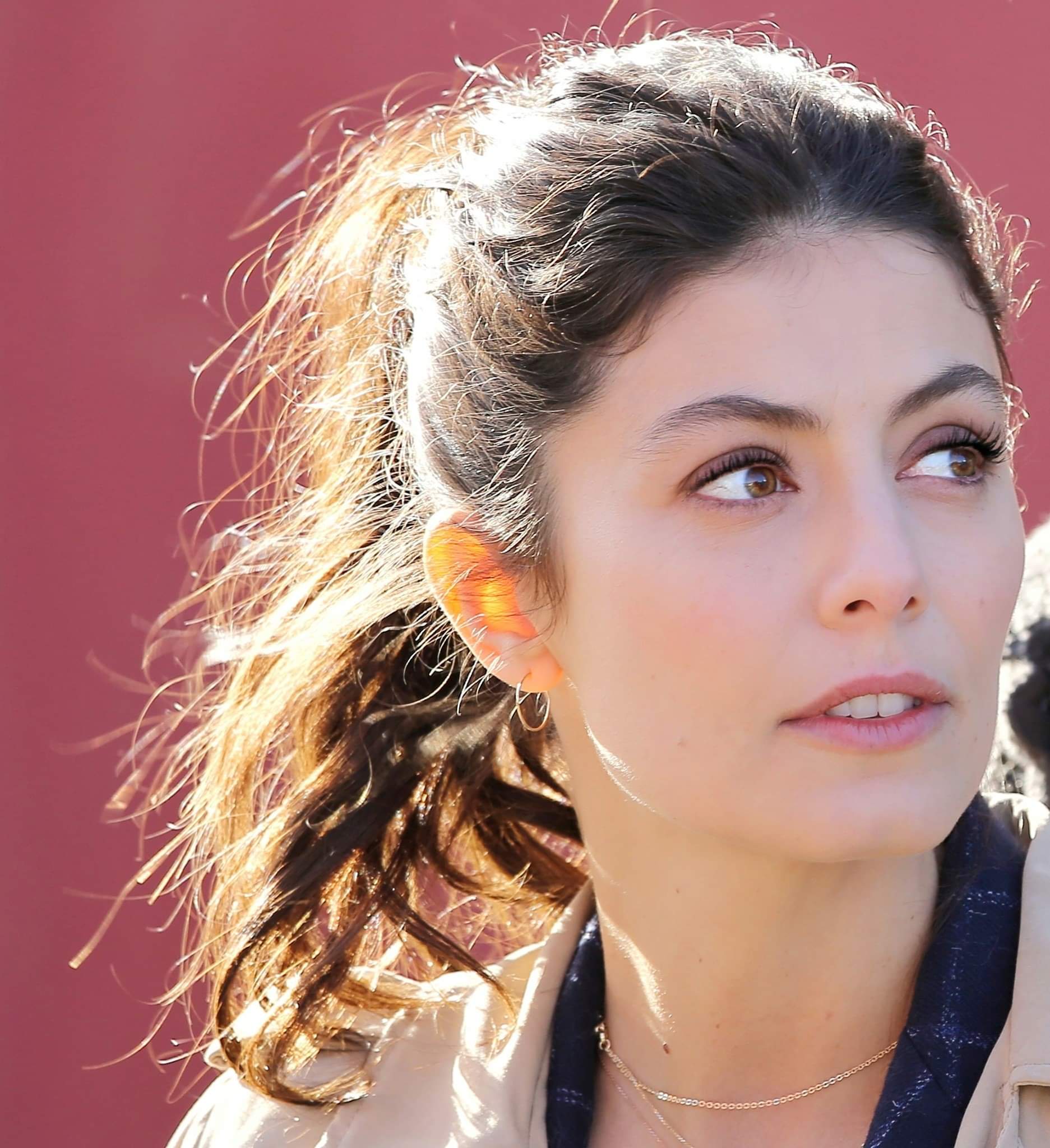 Alessandra Mastronardi - Free pics, galleries & more at Babepedia