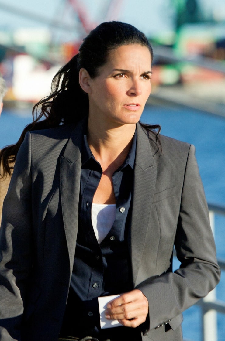 Angie Harmon - Free pics, galleries & more at Babepedia