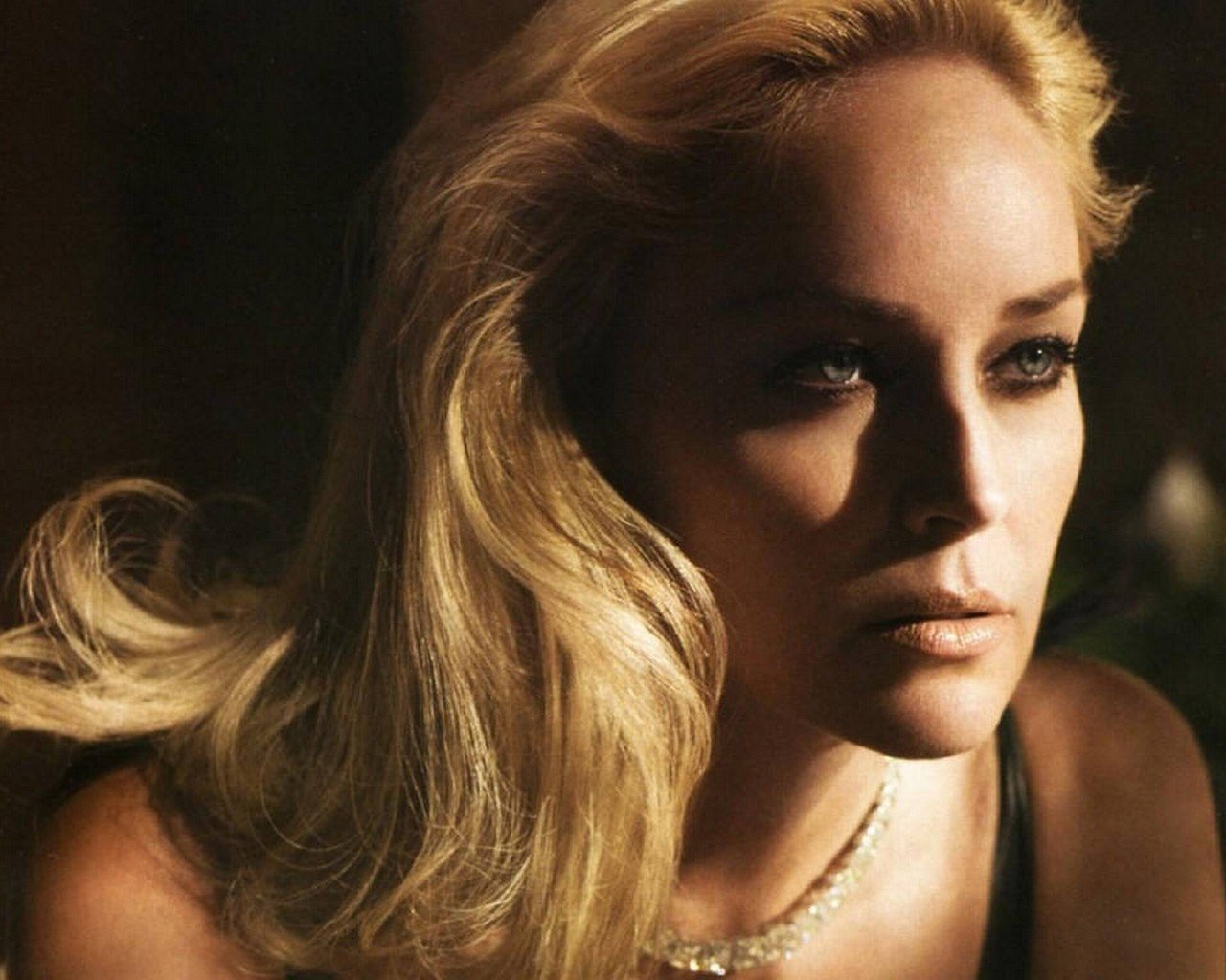 Sharon Stone - Free sexy pics, galleries & more at Babepedia