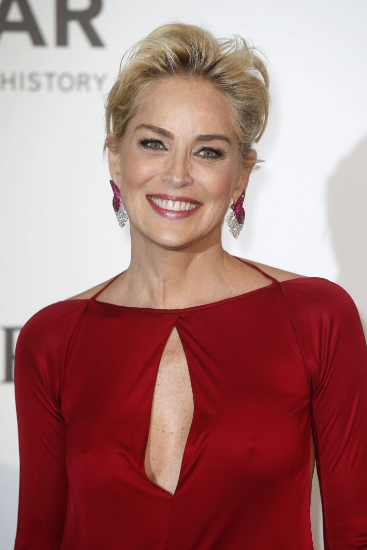 Sharon Stone - Free sexy pics, galleries & more at Babepedia